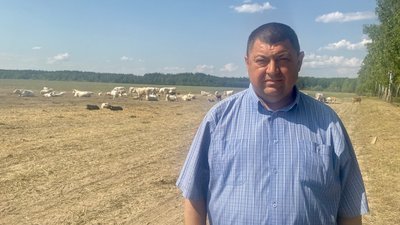 На Житомирщину перевезли чотириста корів з Харківщини та Херсонщини На Житомирщину перевезли чотириста корів з Харківщини та Херсонщини