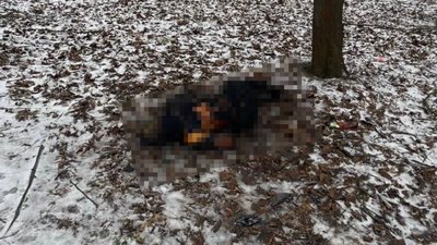 У парку Кривого Рогу виявили обгоріле тіло чоловіка: що відомо