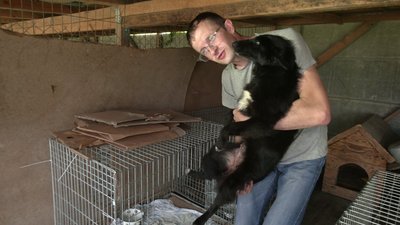 Евакуйованим з Херсонщини тваринам шукають господарів на Рівненщині Евакуйованим з Херсонщини тваринам шукають господарів на Рівненщині