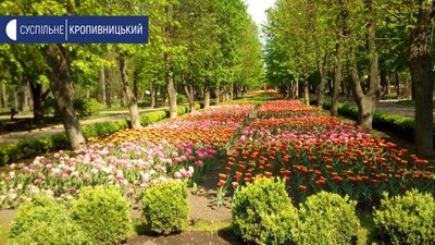 Дендропарк у Кропивницькому зачинили для відвідувачів Дендропарк у Кропивницькому зачинили для відвідувачів