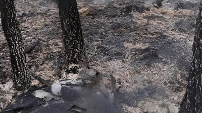 Житомир, екологія, обстріли, екоінспекція