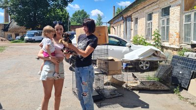До Житомира привезли тварин із Херсона – більшість з них довгий час були у воді До Житомира привезли тварин із Херсона – більшість з них довгий час були у воді