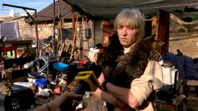 Притулок для тварин в Одесі