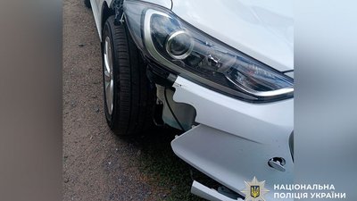 ДТП поблизу Полтави: водійка збила пішохода, його собака загинула