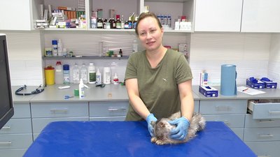 Анна Багаєва з кішкою Ласкою Анна Багаєва з кішкою Ласкою