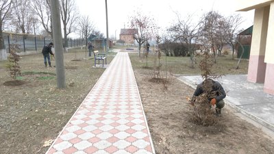 У Запорізькому дитячому будинку-інтернаті благодійники висадили 20 дерев