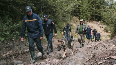 Обстежили понад тисячу гектарів лісу. Як на Буковині шукають зниклого грибника Обстежили понад тисячу гектарів лісу. Як на Буковині шукають зниклого грибника