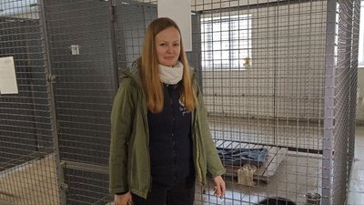 У Житомирі відновлять безкоштовну стерилізацію безпритульних тварин У Житомирі відновлять безкоштовну стерилізацію безпритульних тварин