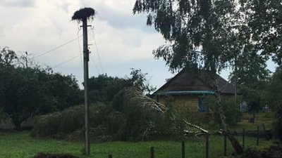 Негода знеструмила десятки сіл на РІвненщині Негода знеструмила десятки сіл на РІвненщині