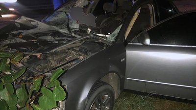 На Буковині в аварії загинула людина. Водій в'їхав у коня та з'їхав у кювет