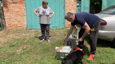 собаки харків собаки харків