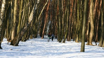 На Тернопільщині понад 200 осіб зареєструвалися на змагання з мандрівництва На Тернопільщині понад 200 осіб зареєструвалися на змагання з мандрівництва