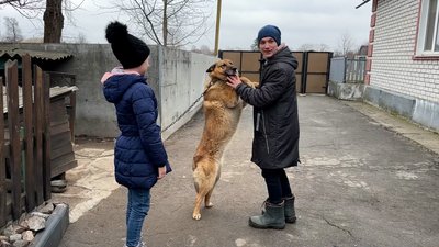 Діти з собакою Діти з собакою