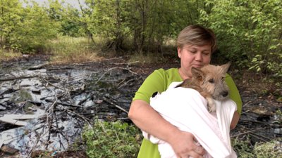 Волонтери врятували чергову собаку зі «смоляного озера» у Чернігові: чому його досі не прибрали