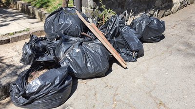 Зібране сміття на толоці у сквері-альпінарії в Ужгороді Зібране сміття на толоці у сквері-альпінарії в Ужгороді