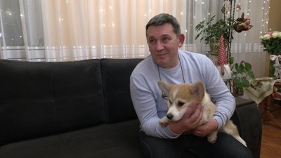 "Для любові, для ласки вони створені": сім'я з Рівненщини розводить собак породи коргі "Для любові, для ласки вони створені": сім'я з Рівненщини розводить собак породи коргі