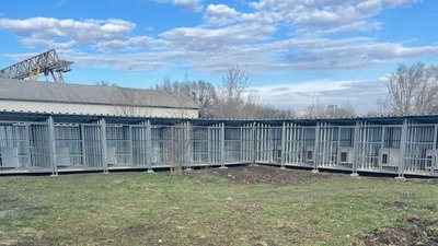 У Центрі стерилізації в Чернівцях потрібно замінити щонайменше 60 вольєрів: як утримують собак У Центрі стерилізації в Чернівцях потрібно замінити щонайменше 60 вольєрів: як утримують собак