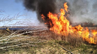пожежі на Волині через спалювання сухої трави