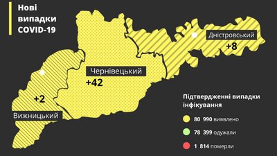На Буковині за добу коронавірус виявили у понад 50 людей: географія поширення На Буковині за добу коронавірус виявили у понад 50 людей: географія поширення