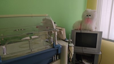 Кожна шістнадцята дитина, яка народилася на Житомирщині у 2022 році, – недоношена Кожна шістнадцята дитина, яка народилася на Житомирщині у 2022 році, – недоношена