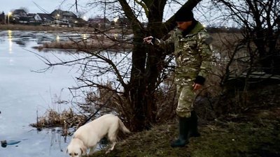 кримінал, вбивство, ніж, військовий, підозрюваний, поліція, прокуратура, Житомир кримінал, вбивство, ніж, військовий, підозрюваний, поліція, прокуратура, Житомир