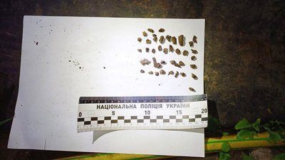 Чоловік підірвав гранату, самогубство