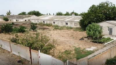 Спалах АЧС підозрюють у одному із господарств Херсонщини - господар не дає перевірити Спалах АЧС підозрюють у одному із господарств Херсонщини - господар не дає перевірити