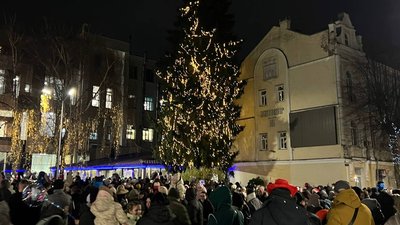 У Житомирі на Михайлівській запалили головну ялинку міста