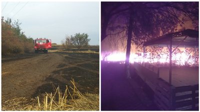 На Донеччині за добу загасили 65 пожеж на відкритих територіях