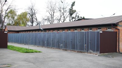 Двадцятьом тваринам знайшли господарів: як у вінницькому притулку доглядають за собаками-переселенцями Двадцятьом тваринам знайшли господарів: як у вінницькому притулку доглядають за собаками-переселенцями