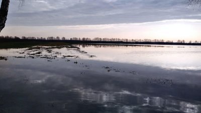 Підтоплення на Волині: у воді – понад шість тисяч гектарів угідь та присадибних ділянок Підтоплення на Волині: у воді – понад шість тисяч гектарів угідь та присадибних ділянок