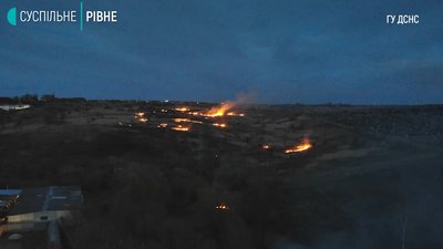 Пожежі в екосистемах Пожежі в екосистемах