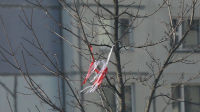 У прикордонних містах Білорусі повідомляють про звуки вибухів. У чому причина