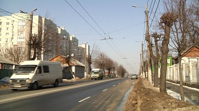 У Житомирі місцева жителька скаржиться на недбале кронування дерев
