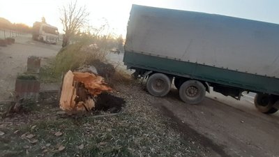 Перебігав дорогу. На Прикарпатті через пішохода сталася аварія Перебігав дорогу. На Прикарпатті через пішохода сталася аварія
