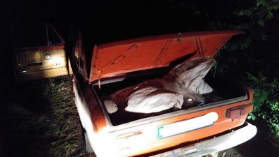 Наловили на понад 73 тисячі: на Черкащині упіймали браконьєрів Наловили на понад 73 тисячі: на Черкащині упіймали браконьєрів