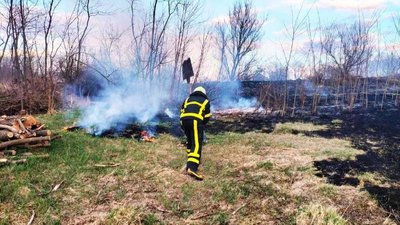 За добу на Черкащині згасили дев'ять пожеж сухої трави