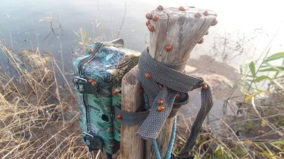На Тузлівських лиманах Одещини загинули майже 2 млн божих корівок На Тузлівських лиманах Одещини загинули майже 2 млн божих корівок