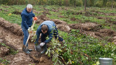 Тернопільщина долучилась до акції "Мільйон дерев за добу"