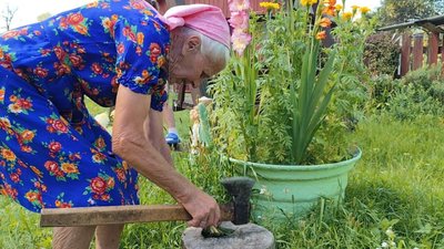 Манники, Щітки з лози та випікання хліба: до ереліку нематеріальної кульутрної спадщини Волині увійшли ще 4 елементи Манники, Щітки з лози та випікання хліба: до ереліку нематеріальної кульутрної спадщини Волині увійшли ще 4 елементи