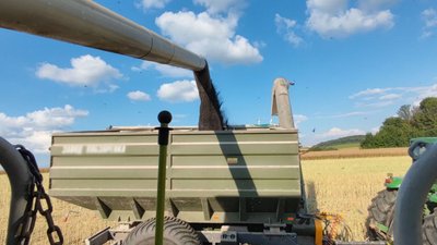 На Тернопільщині тривають жнива На Тернопільщині тривають жнива