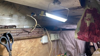 Рік без світла: у селі Молодова на Харківщині відновили електропостачання Рік без світла: у селі Молодова на Харківщині відновили електропостачання