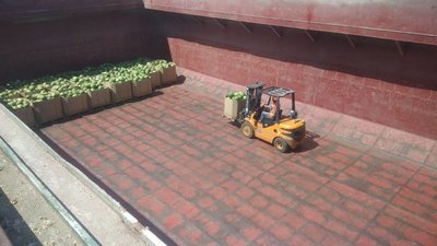 Херсонські кавуни готуються до відправлення річкою у столицю Херсонські кавуни готуються до відправлення річкою у столицю