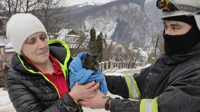 Прикарпатські рятувальники визволяли кошеня, яке застрягло у трубі