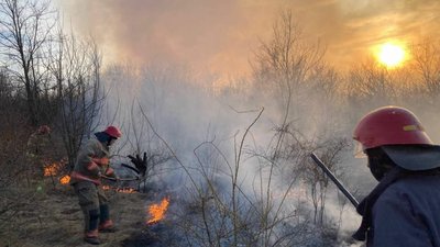 За минулу добу на Одещині сталося 55 пожеж в екосистемах. Вигоріло майже 80 гектарів
