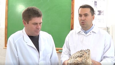 У Херсоні вирощують абажури із грибів - новий винахід співробітників місцевого вишу У Херсоні вирощують абажури із грибів - новий винахід співробітників місцевого вишу