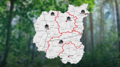 П'ять замість дванадцяти: на Чернігівщині укрупнюють лісгоспи