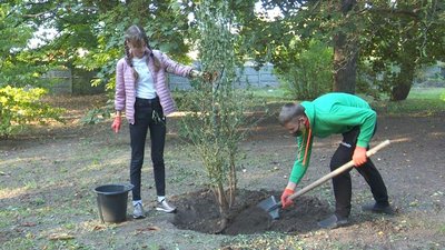 Восьмикласники Дніпра долучились до всеукраїнської акції з висаджування дерев Восьмикласники Дніпра долучились до всеукраїнської акції з висаджування дерев