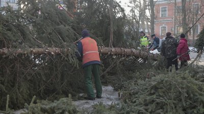 Дерево розпилили на менші шматки та відвезли на територію Тресту Дерево розпилили на менші шматки та відвезли на територію Тресту