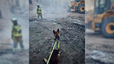 Ракетний удар по Прилуках: трьох загиблих знайшов кінолог зі службовою собакою
